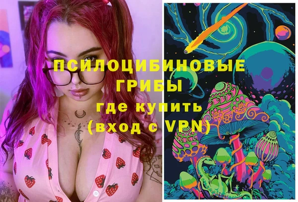 ПСИЛОЦИБИНОВЫЕ ГРИБЫ Михайлов