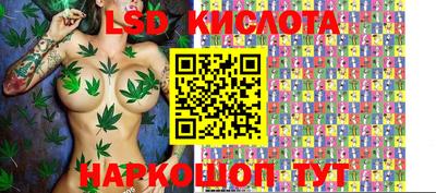 крисы Апшеронск