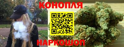 крисы Апшеронск