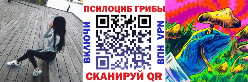 Псилоцибиновые грибы мицелий  Апшеронск 