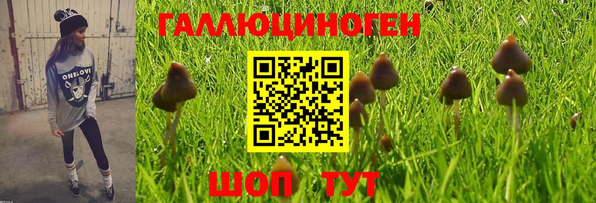 Псилоцибиновые грибы ЛСД Апшеронск