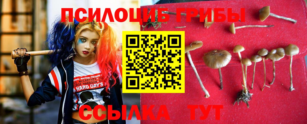 даркнет сайт  Вход с VPN  Апшеронск  Псилоцибиновые грибы ЛСД  Псилоцибиновые грибы Psilocybine cubensis 